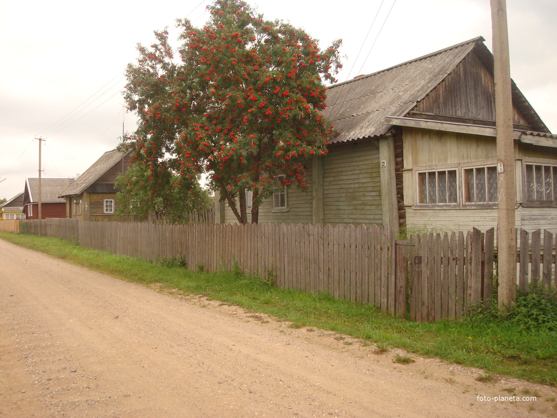 дома в средине деревни