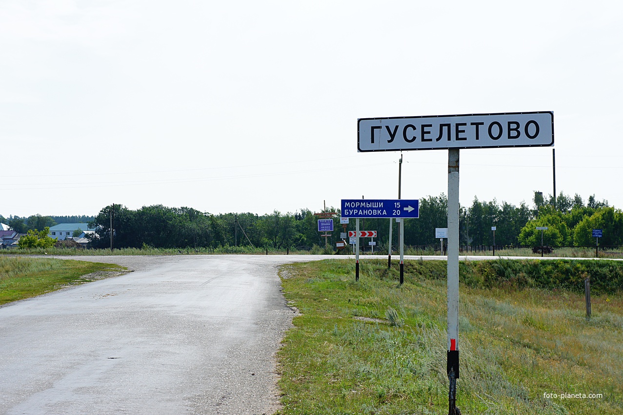 Погода романово алтайский романовский. Село Гуселетово Романовского района Алтайского края. Село Гуселетово Романовского района. Гуселетовские плесы Алтайский край Романовский район. Деревня Гуселетово Алтайский край.