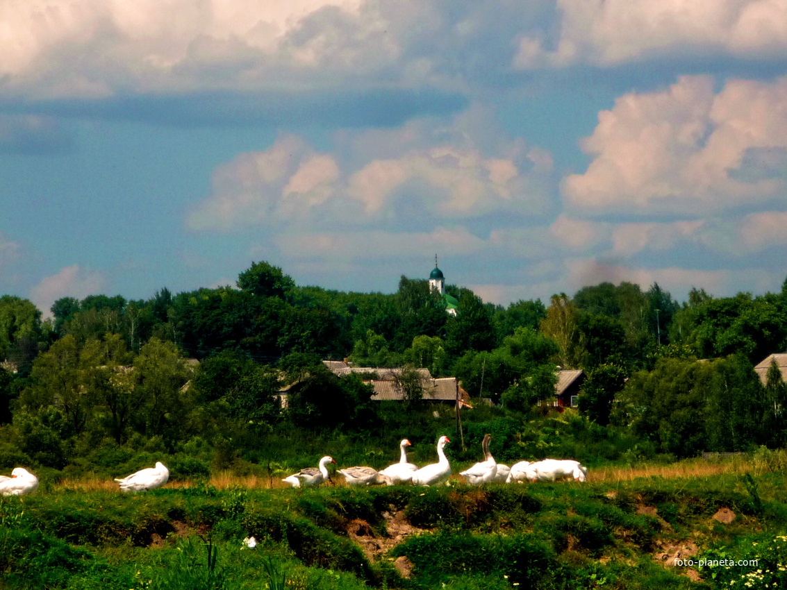 Вид на село с берега реки.