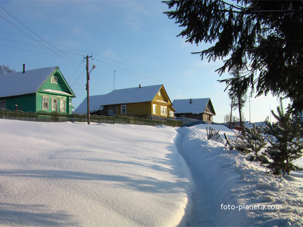 Зима в Федосовичах