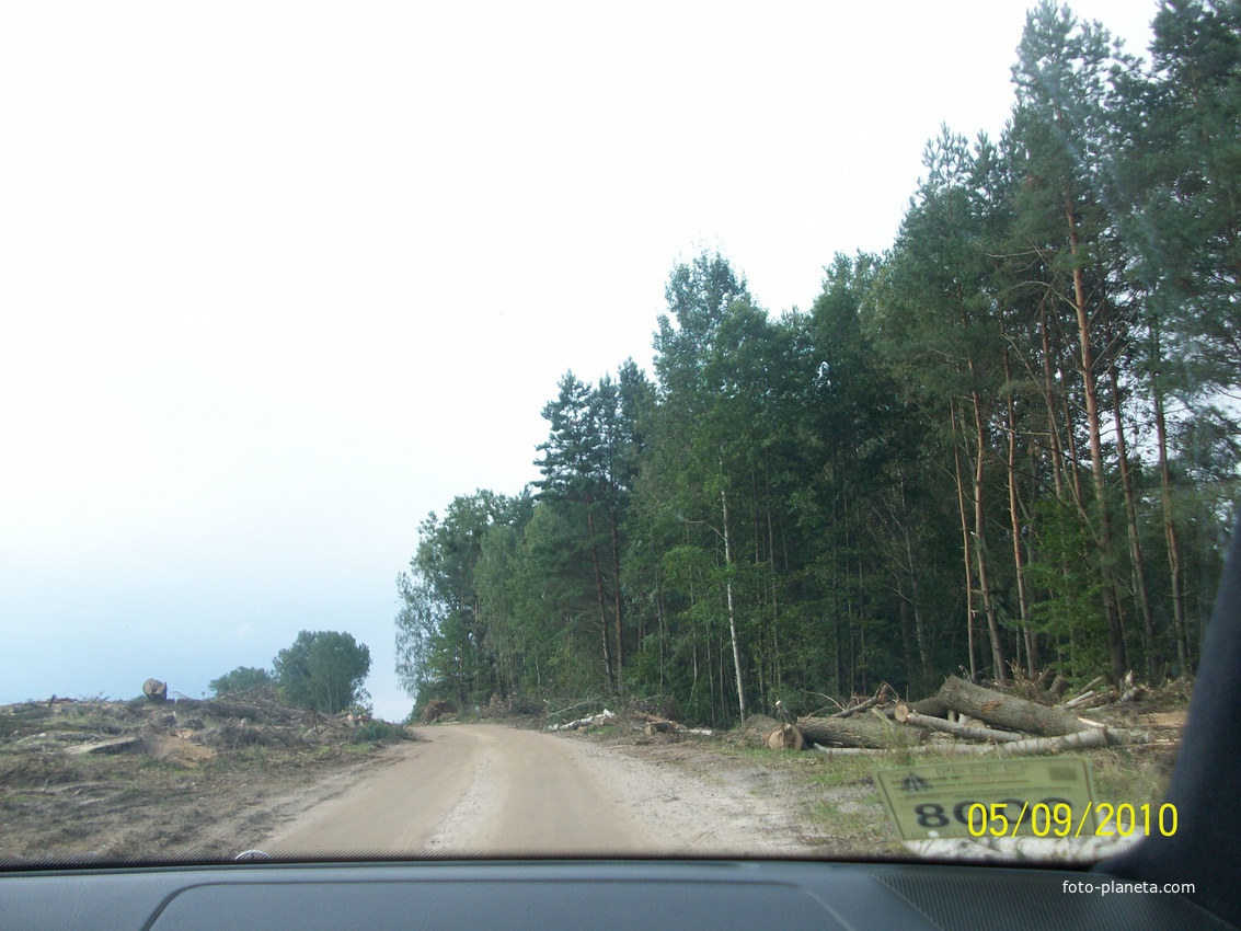Строительство дороги возле Мыльниск