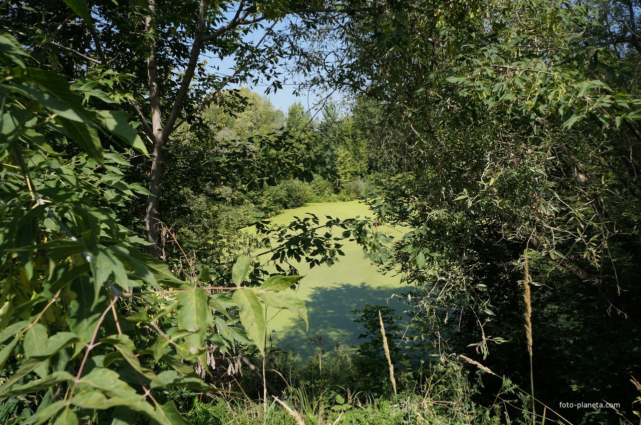 Отстойники у Оки