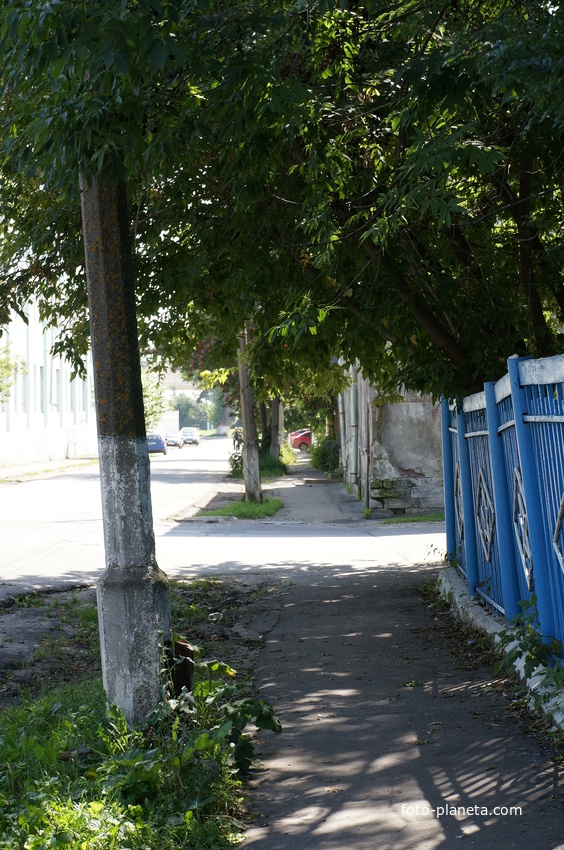 Улица Савельича