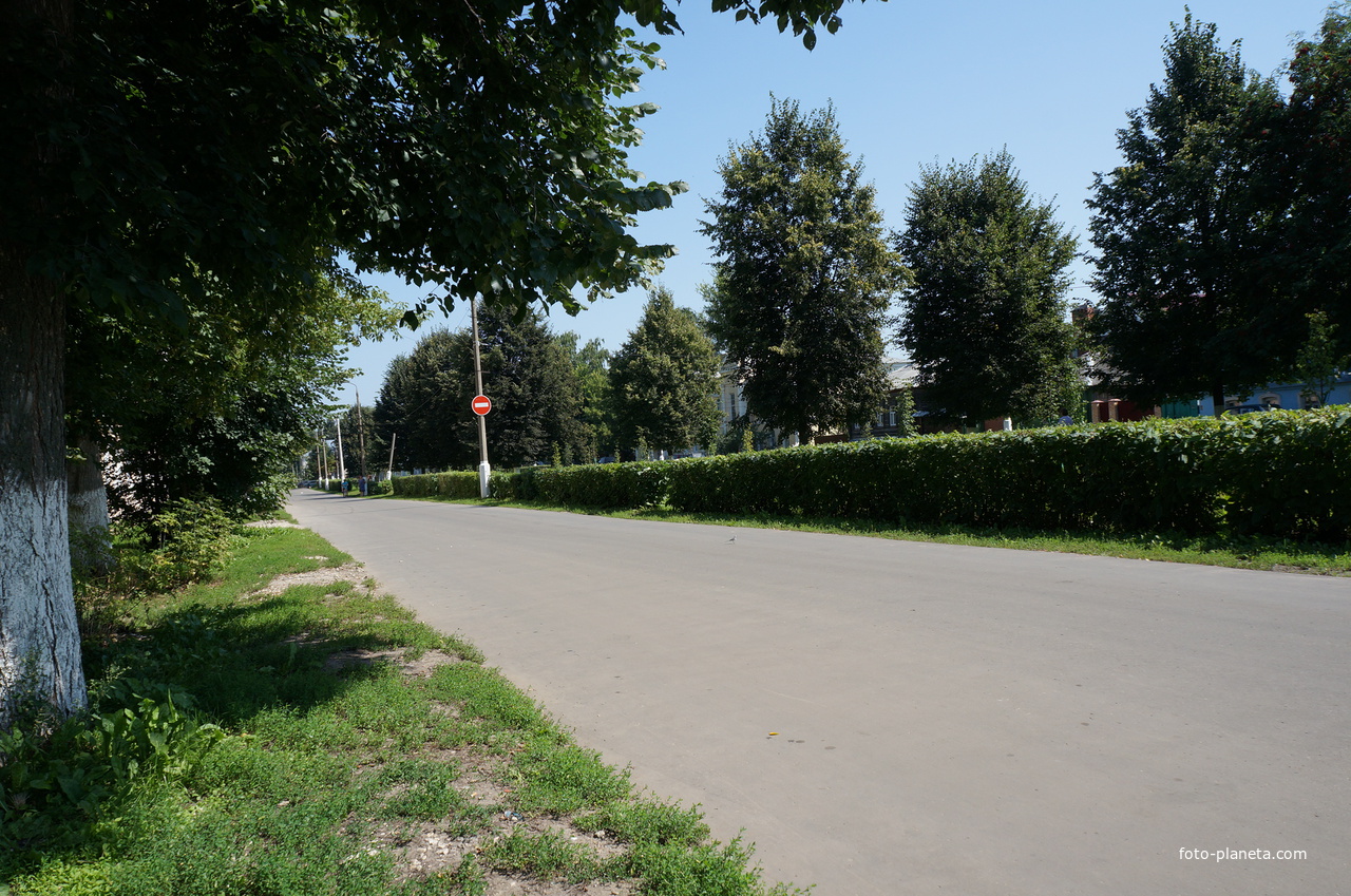 Пионерская улица