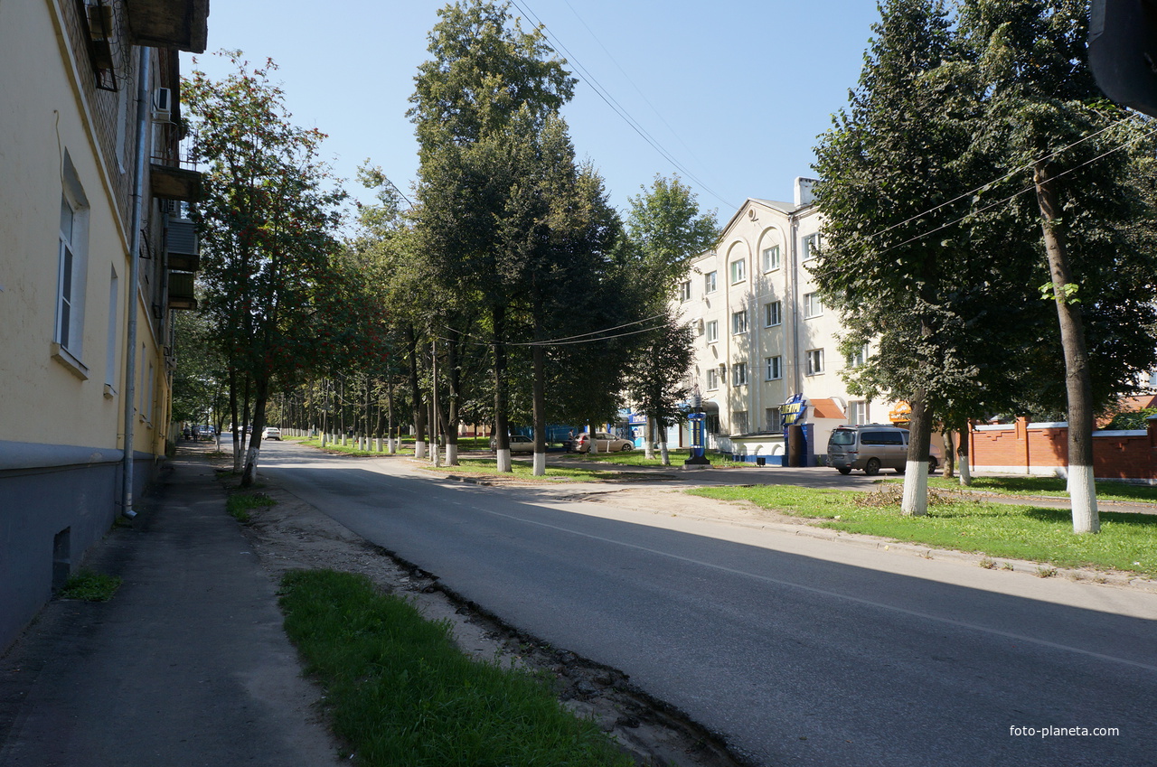 Пионерская улица