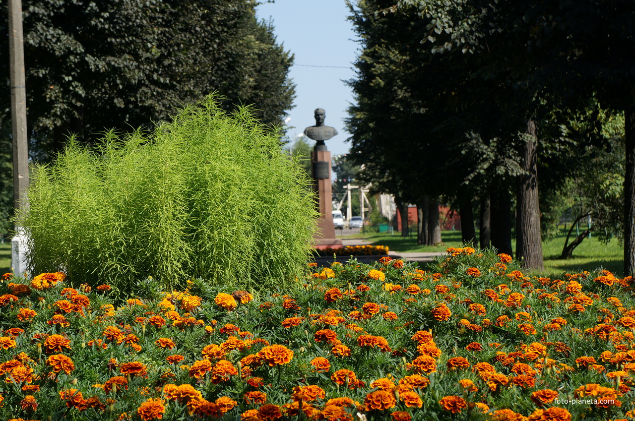 Цветочная клумба