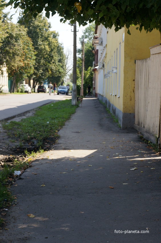 Савельича улица