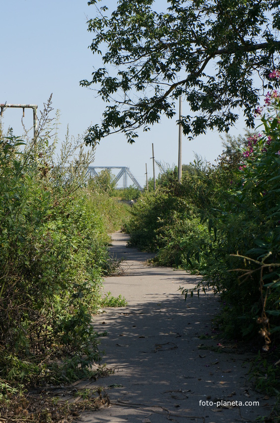 Долина реки Москва