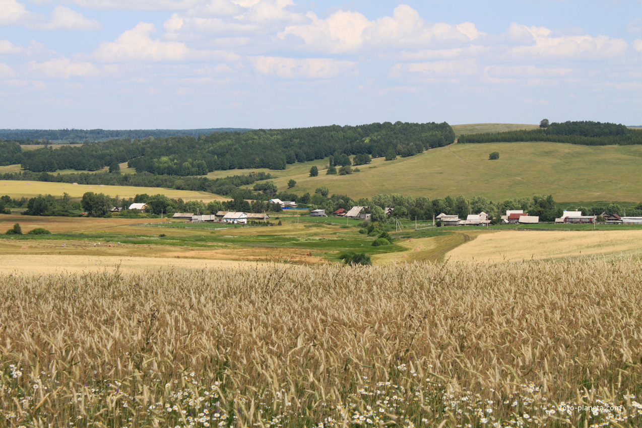 Алтаево. Вид на северную часть деревни.