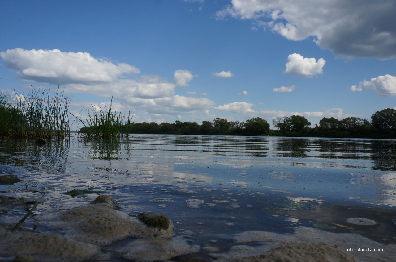 Водная гладь Оки