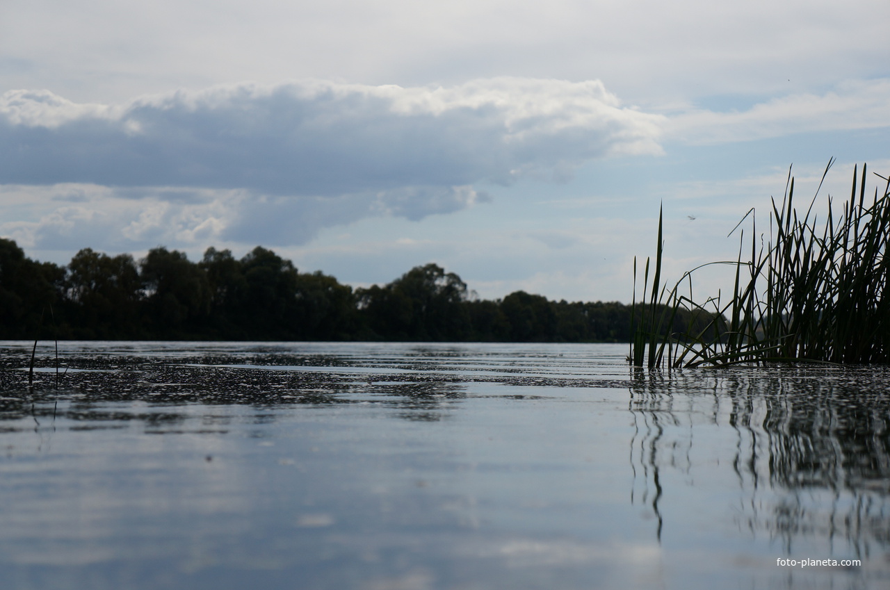 Водная гладь Оки