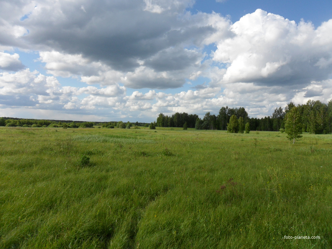 Околица в сторону Толстикова.