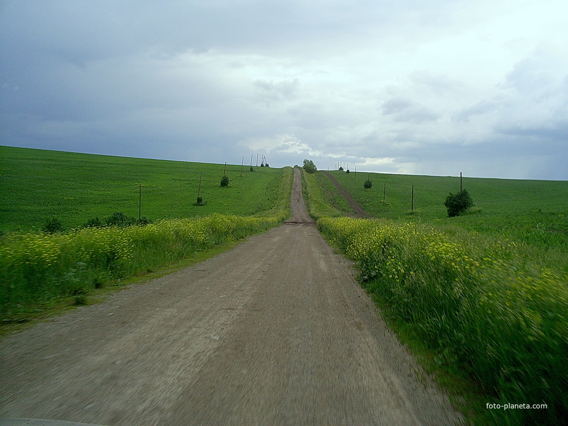 Усть-Пихтовка