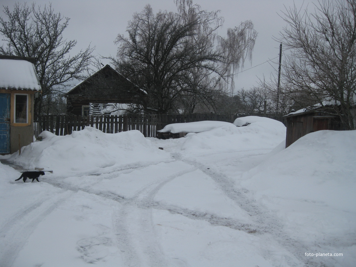 снег во дворе