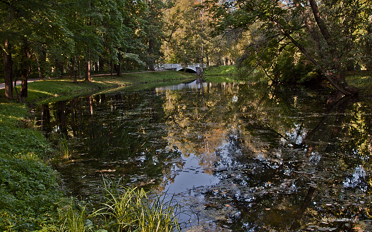 "Детский пруд" в Александровском парке