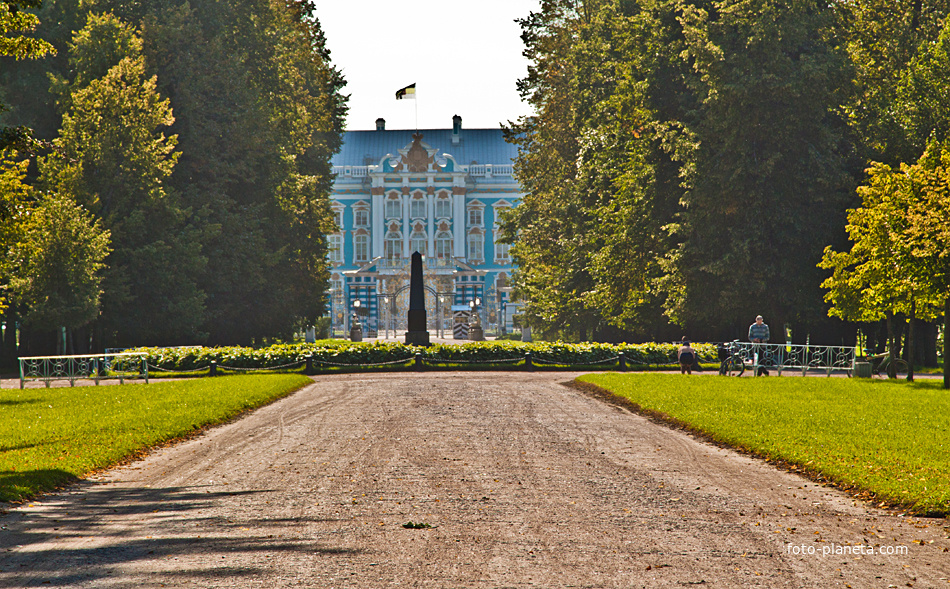 Дорожка в Александровском парке