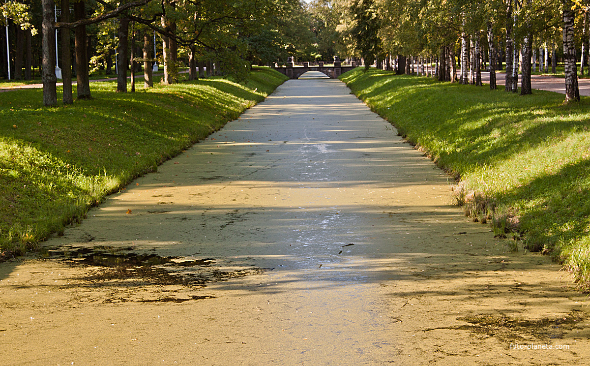 Канал в Александровском парке