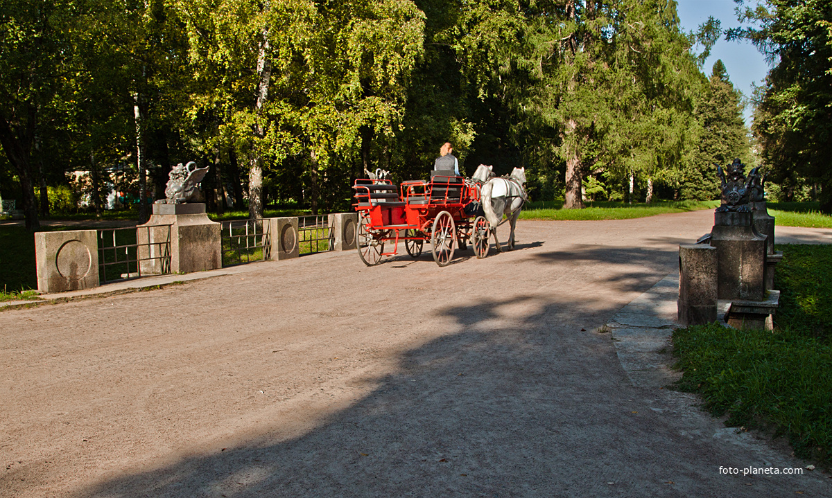 В Александровском парке
