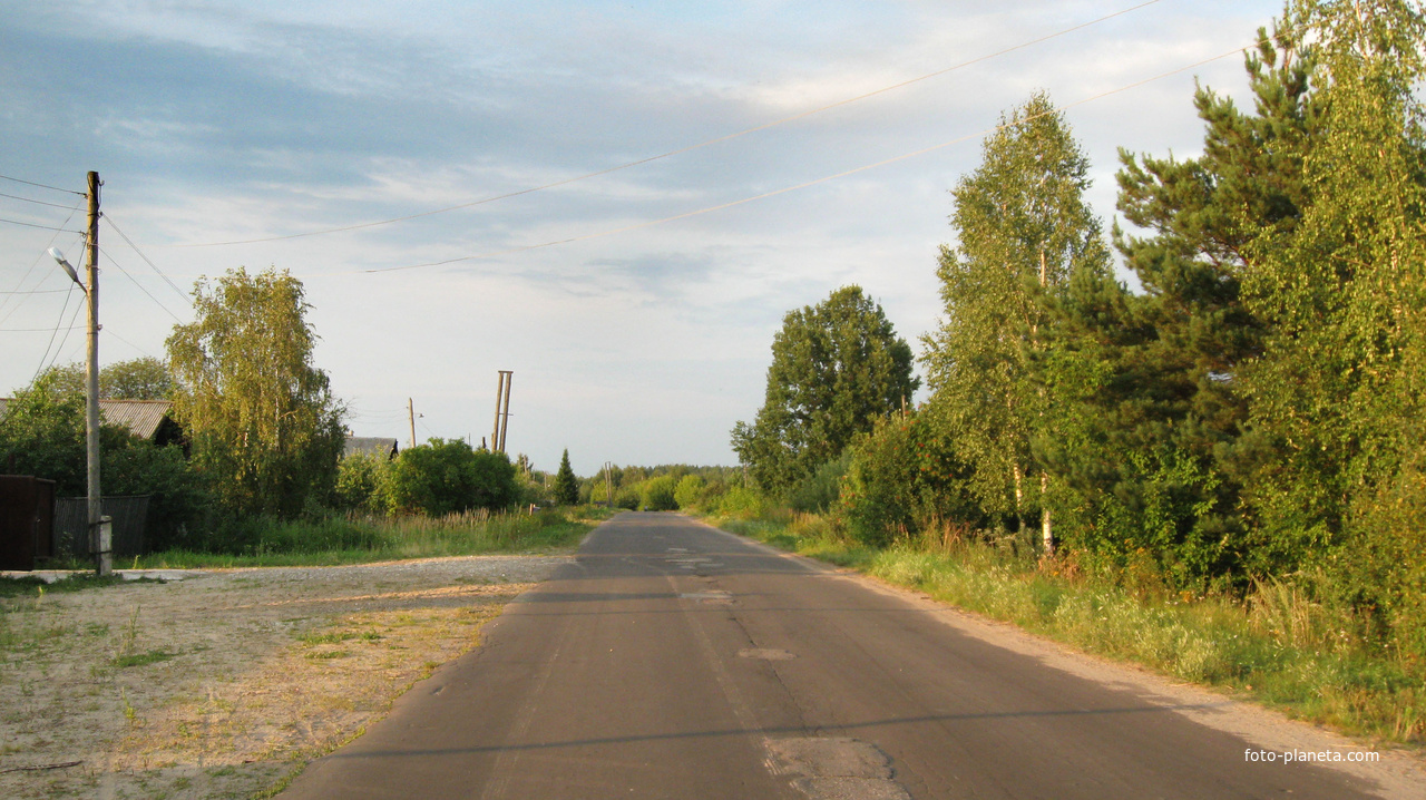 д. Пелегово (ул. Школьная)