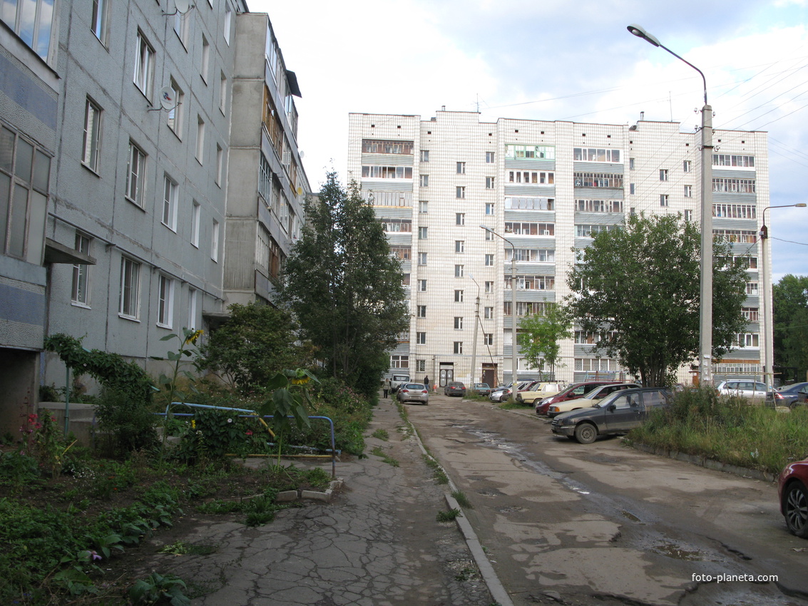 Сыктывкар подсолнухи