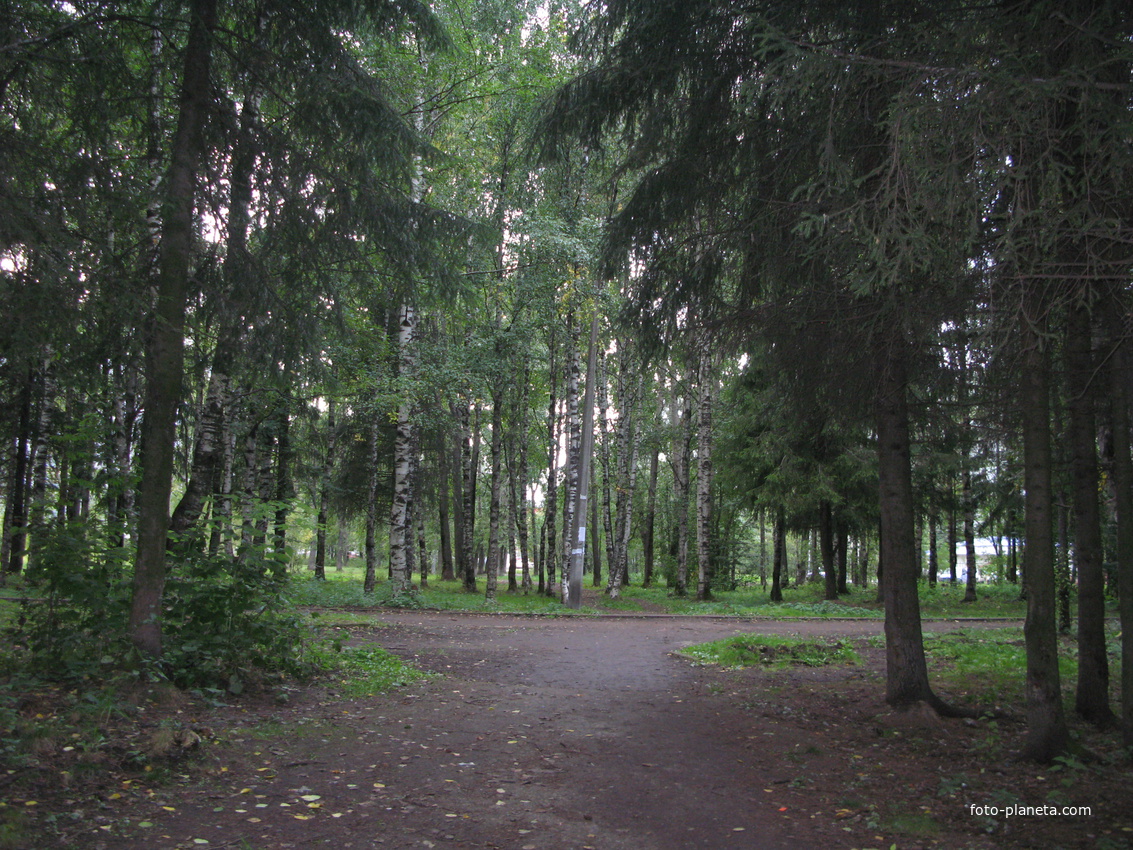 Сыктывкар зеленая зона в Строителе