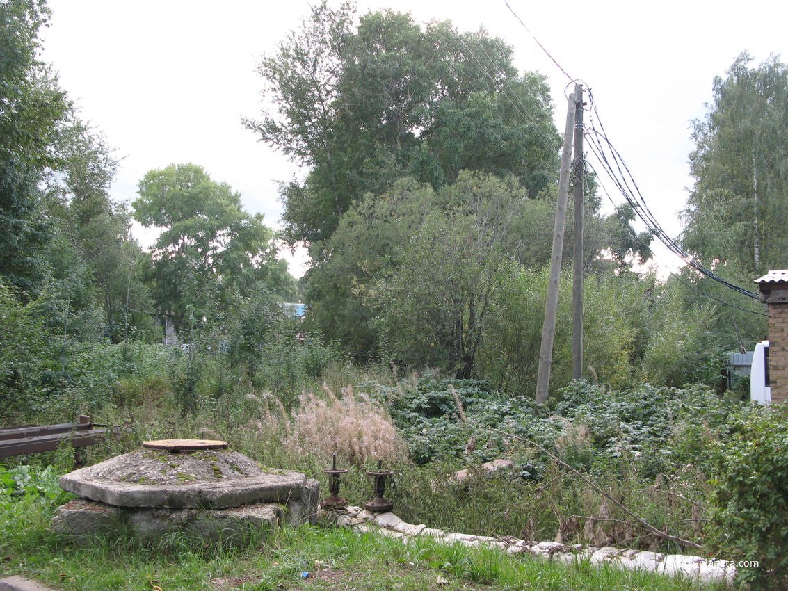 Сыктывкар дворовая чаща