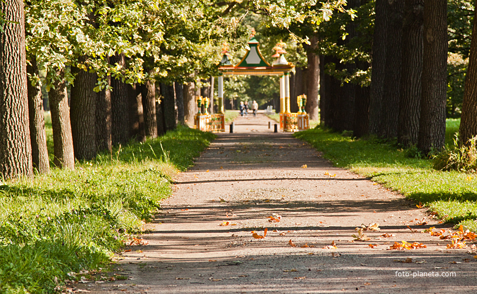 Аллея в парке