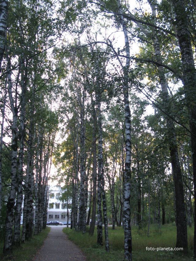 Сыктывкар больничный городок