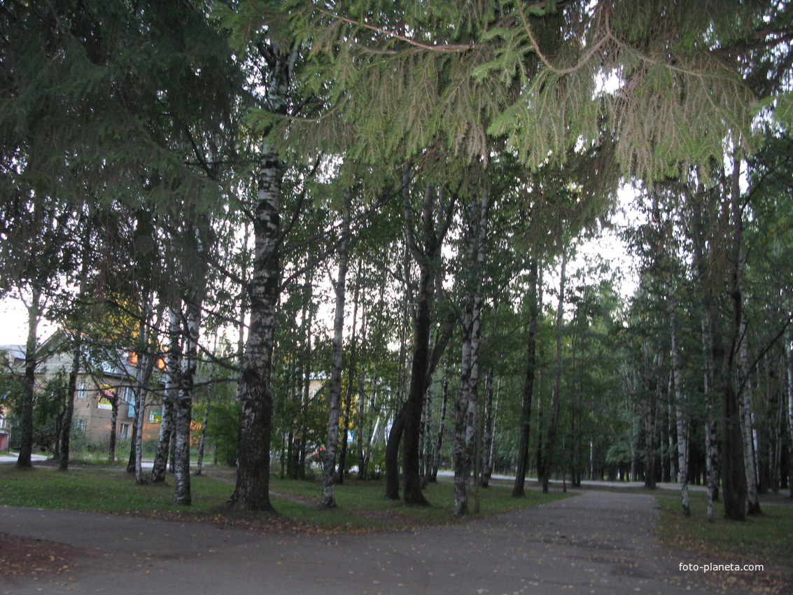 Сыктывкар зеленая зона по ул.  Пушкина