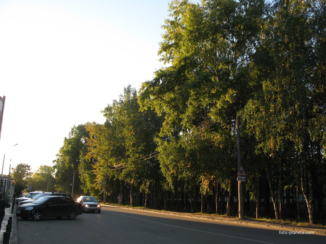 Сыктывкар Октябрьский проспект возле школы 35