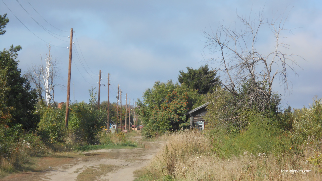 Городище. Улица Луговая.