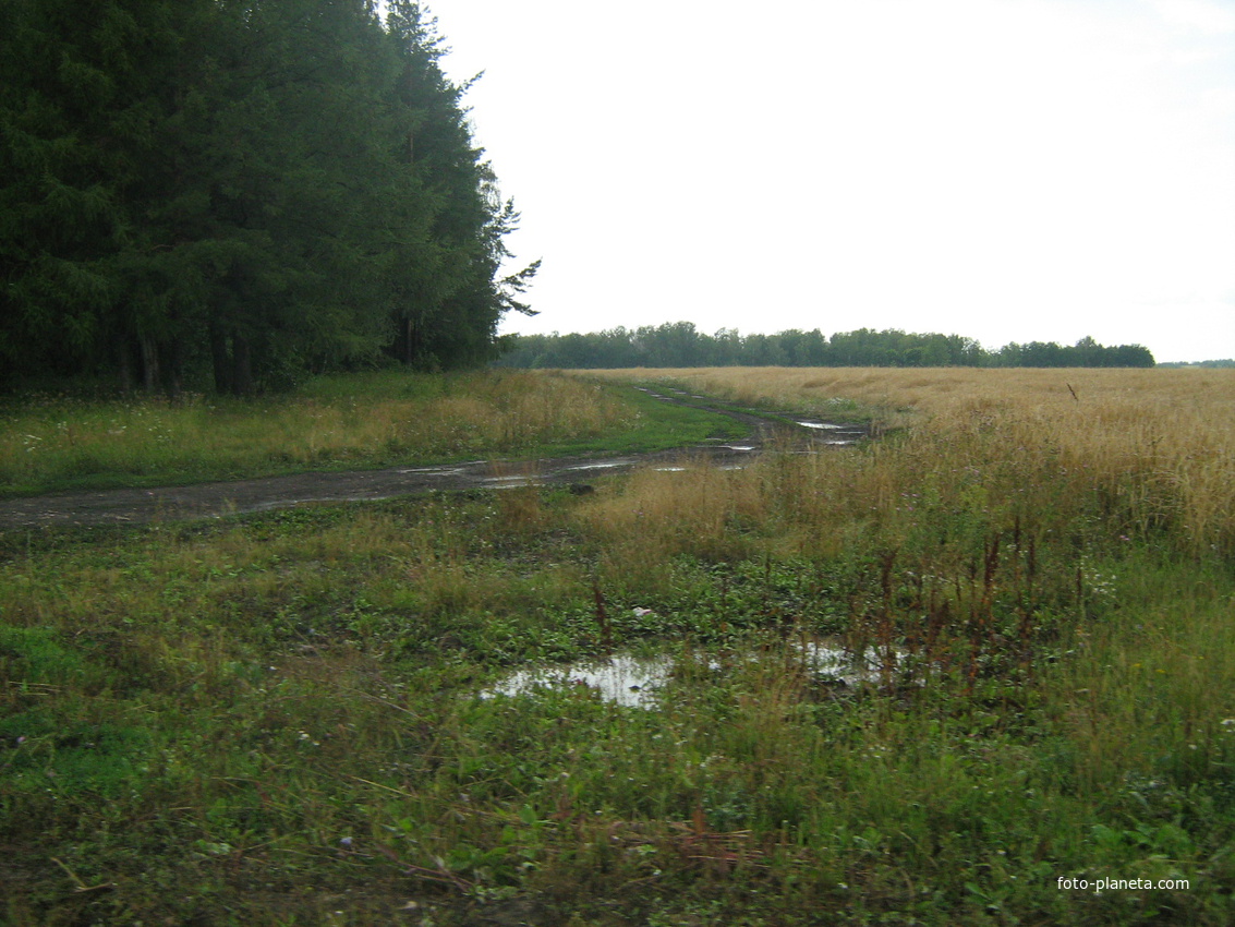 Поворот на Покровку с трассы Белебей-Усень-Ивановка