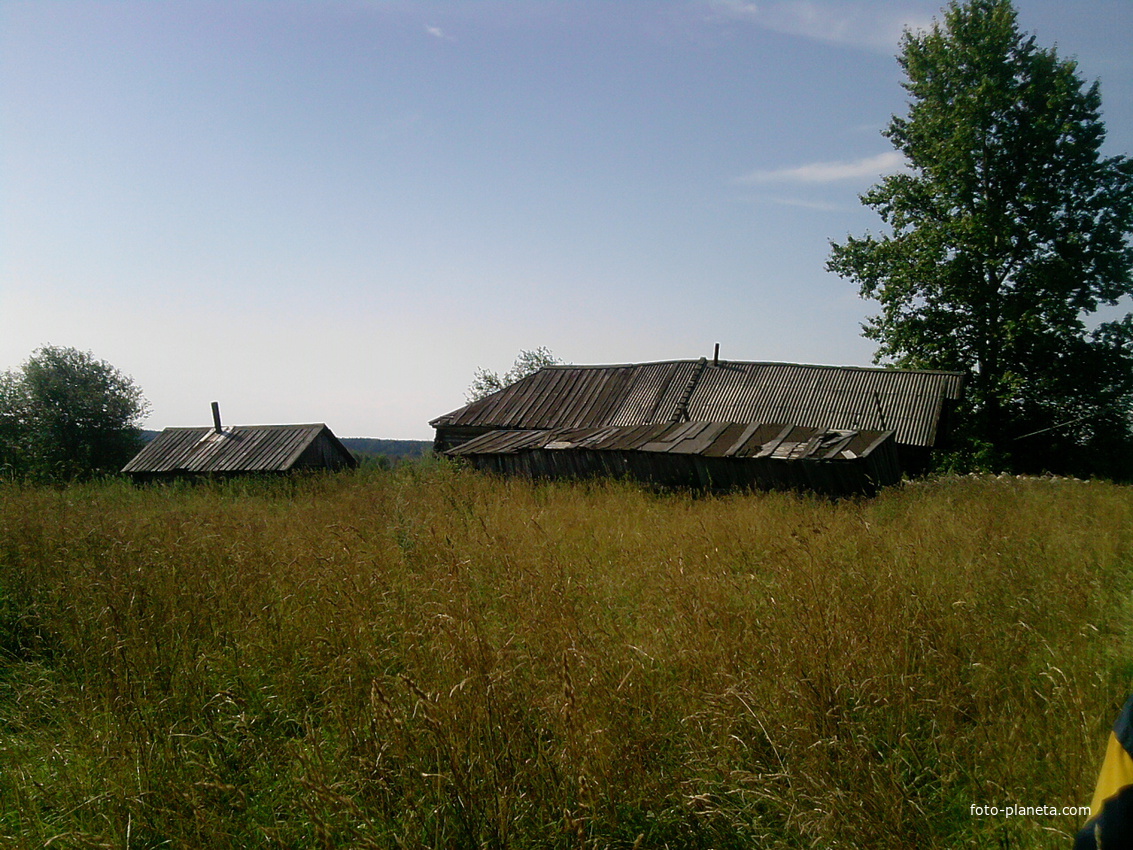 деревня великуша