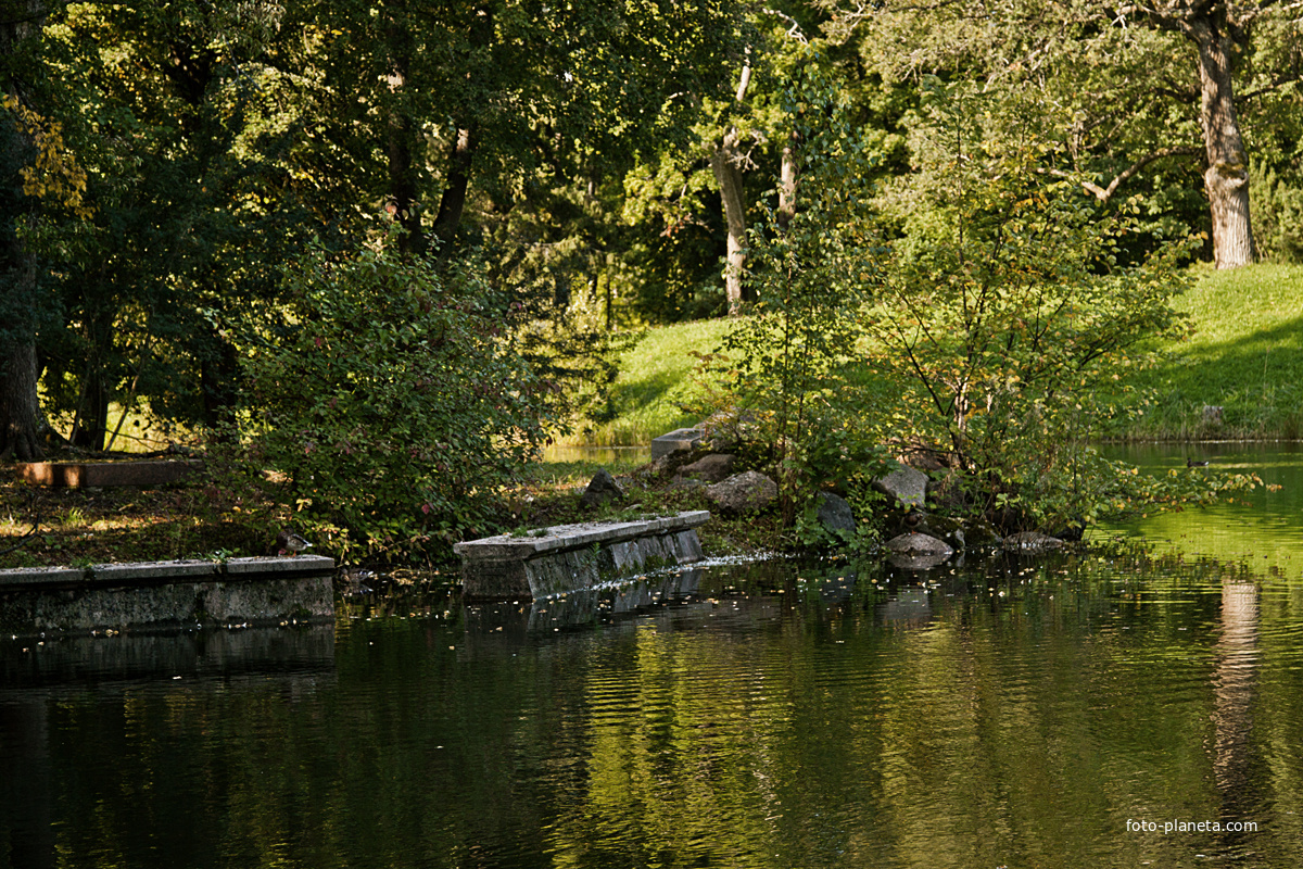 Александровский парк. Детский пруд.