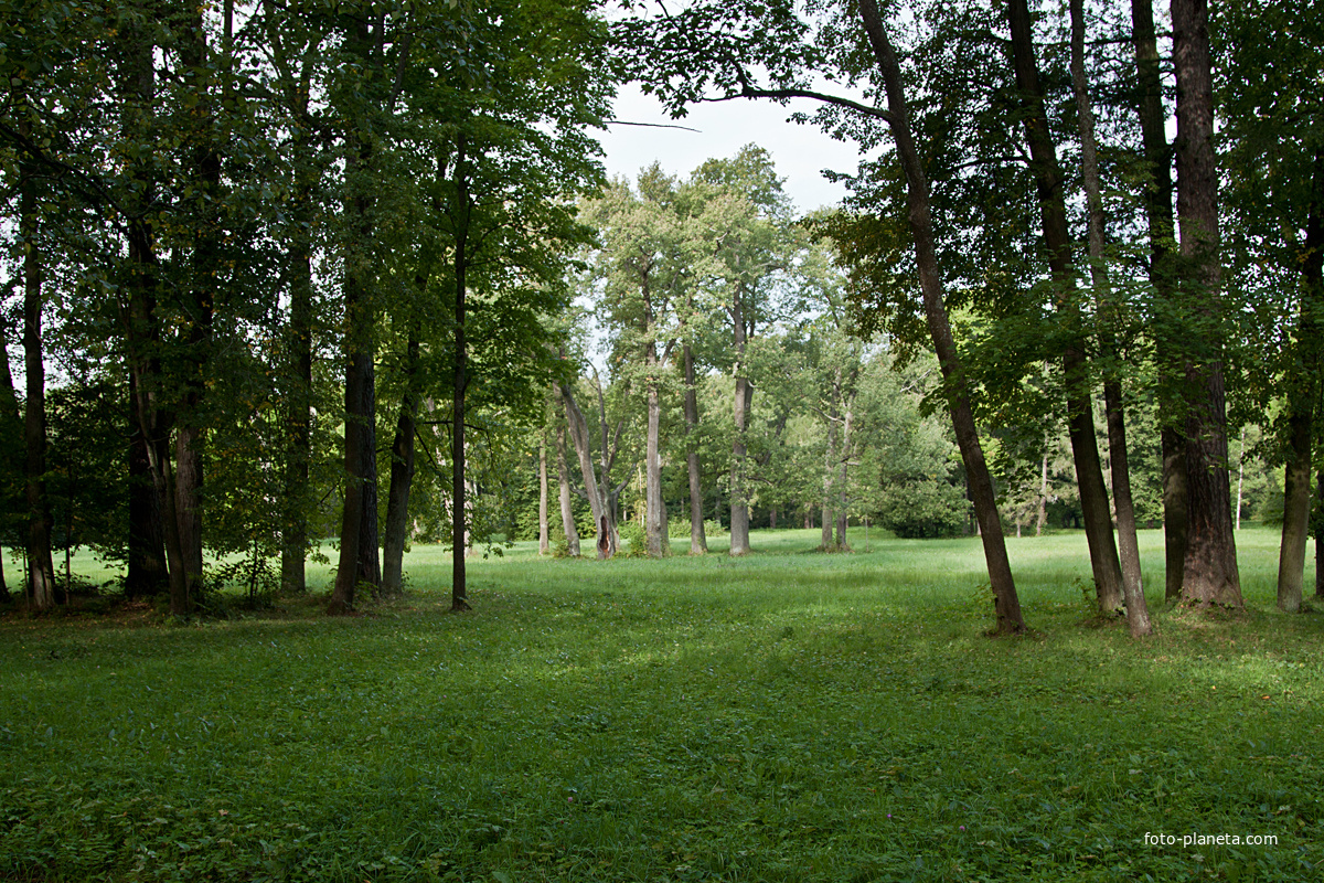 Александровский парк