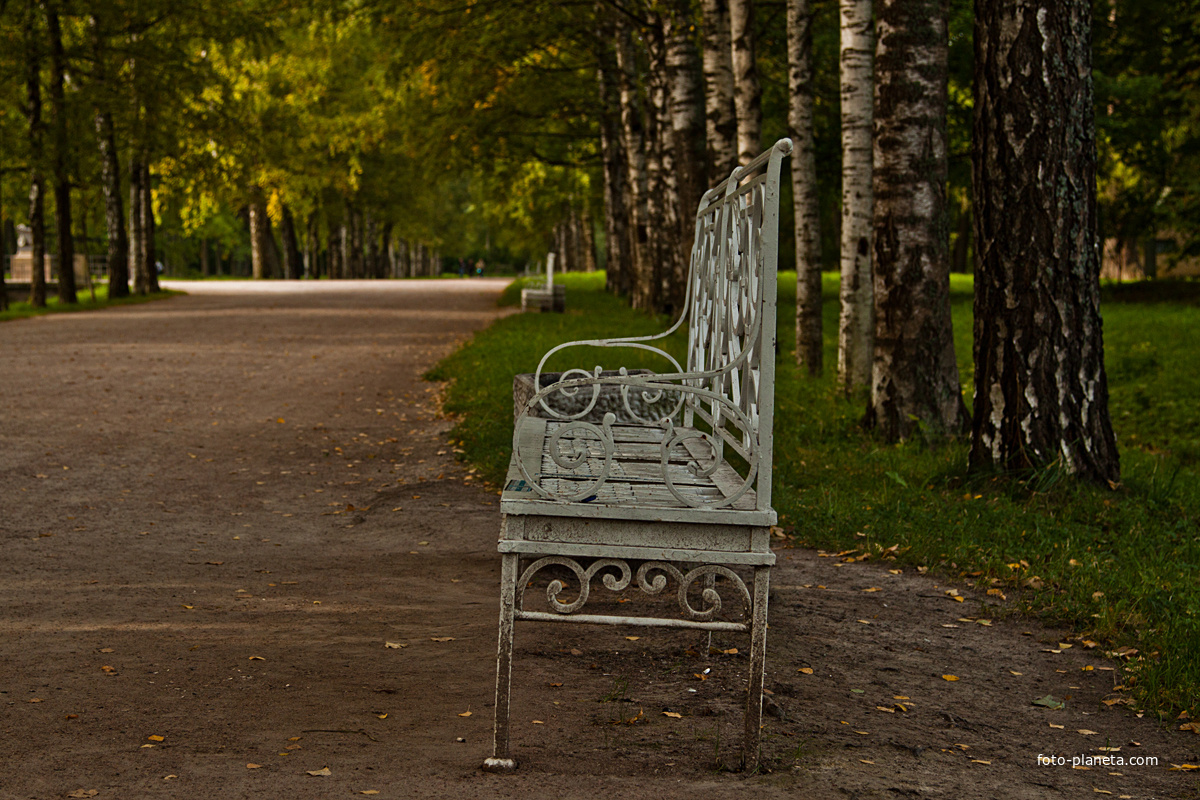 Аллея в Александровском парке