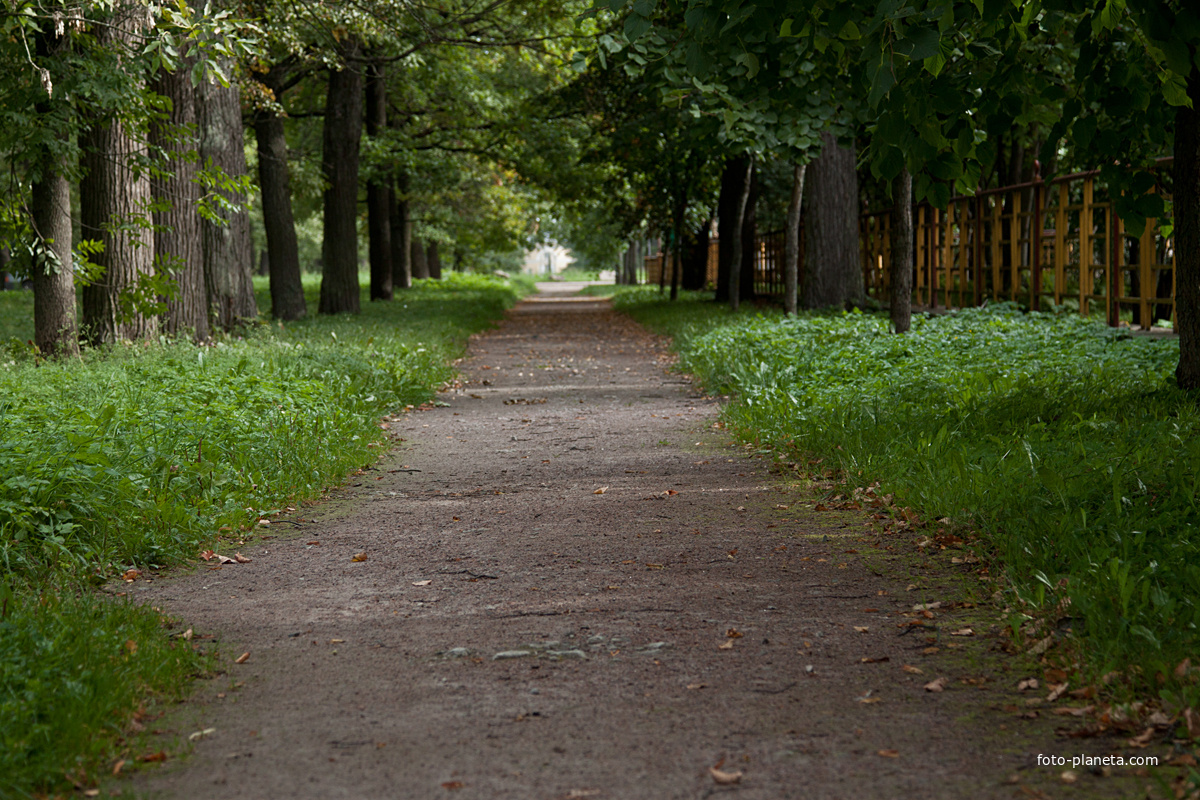 Александровский парк