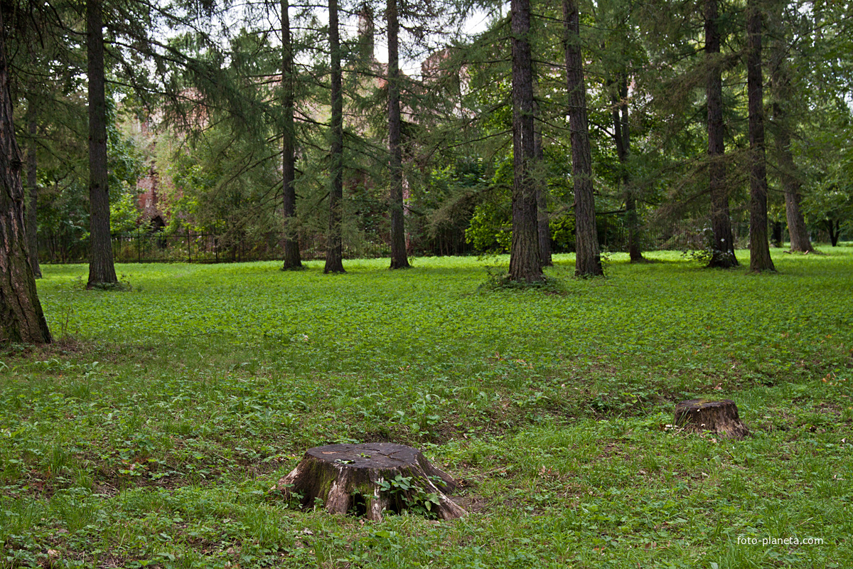Александровский парк