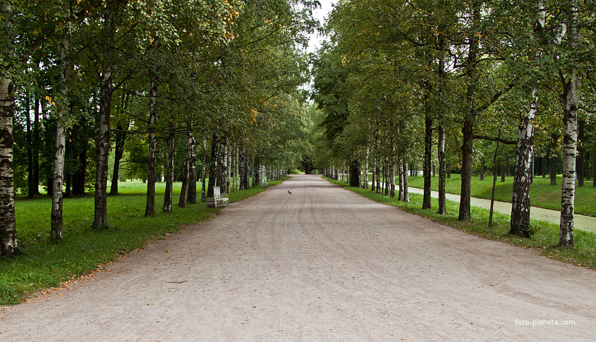 Александровский парк