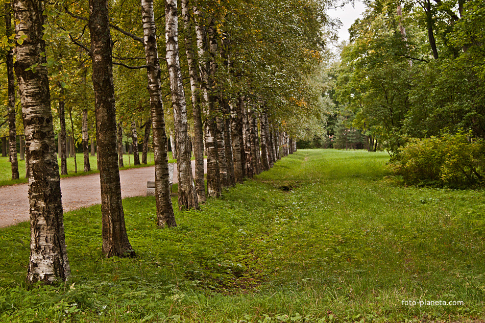 Александровский парк