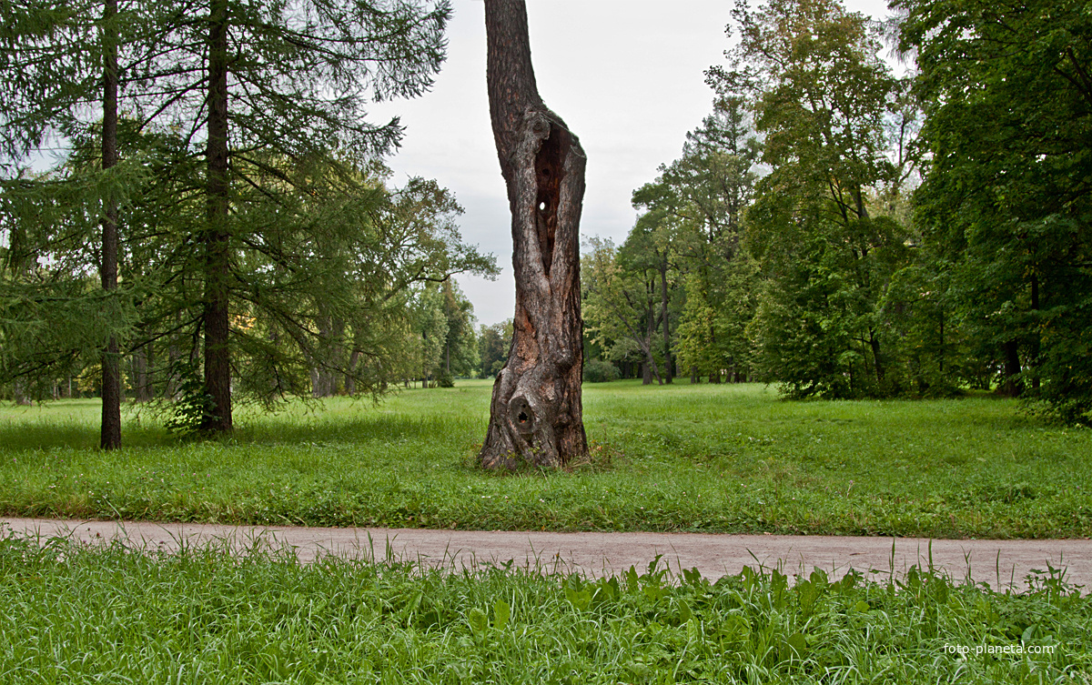 Александровский парк