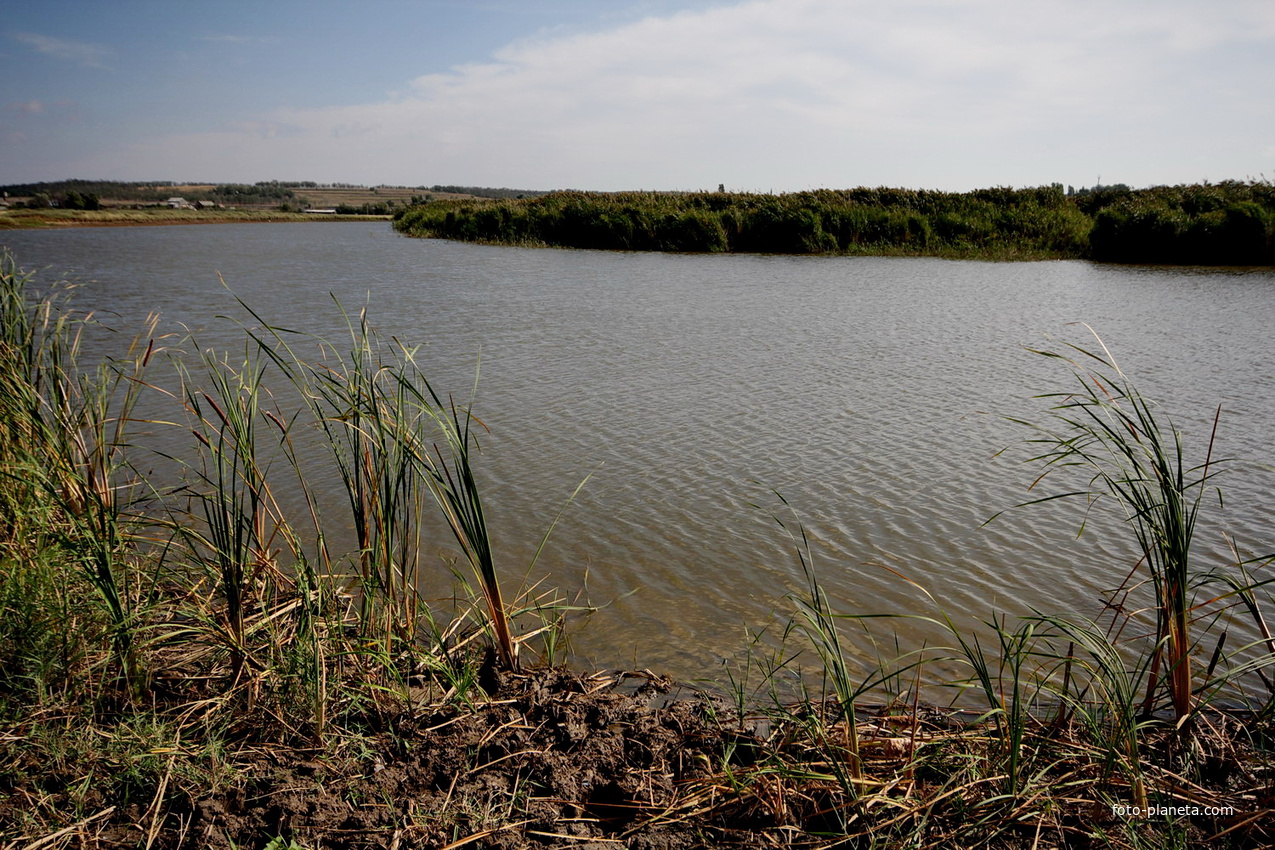 Водные объекты Ростовской