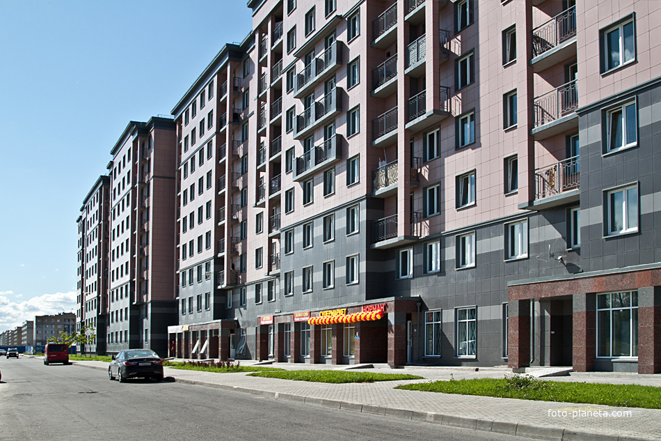 Славянка. Колпинское шоссе.