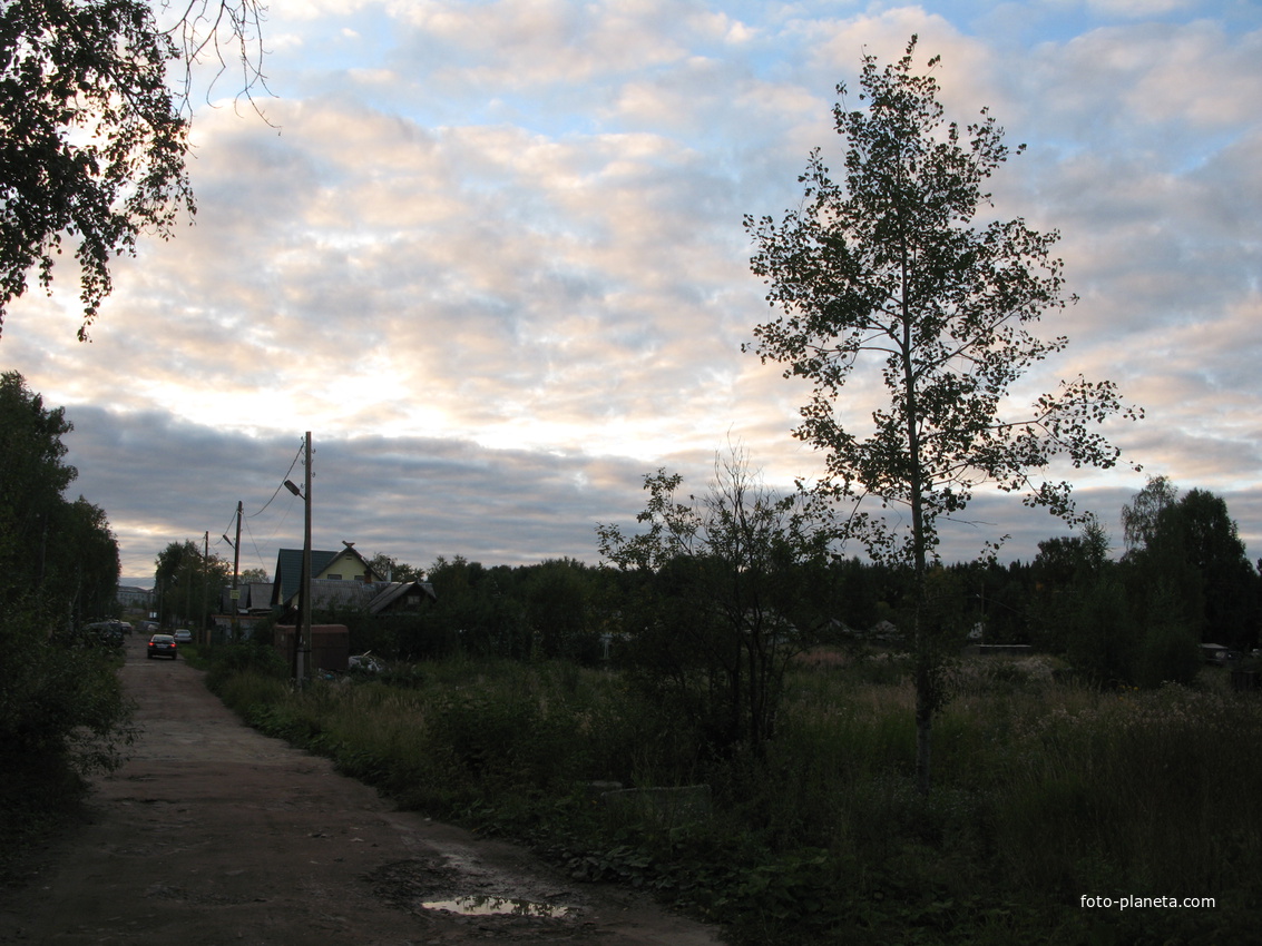 Сыктывкар 2013