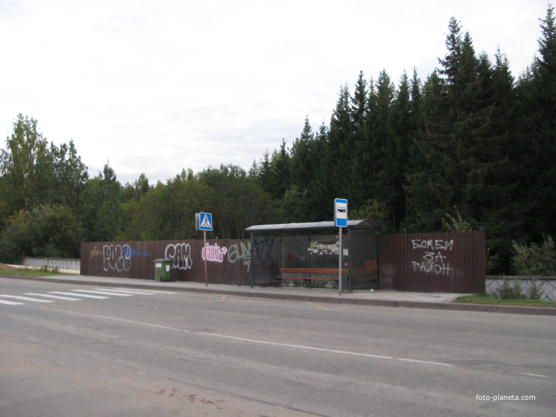 Сыктывкар 2013