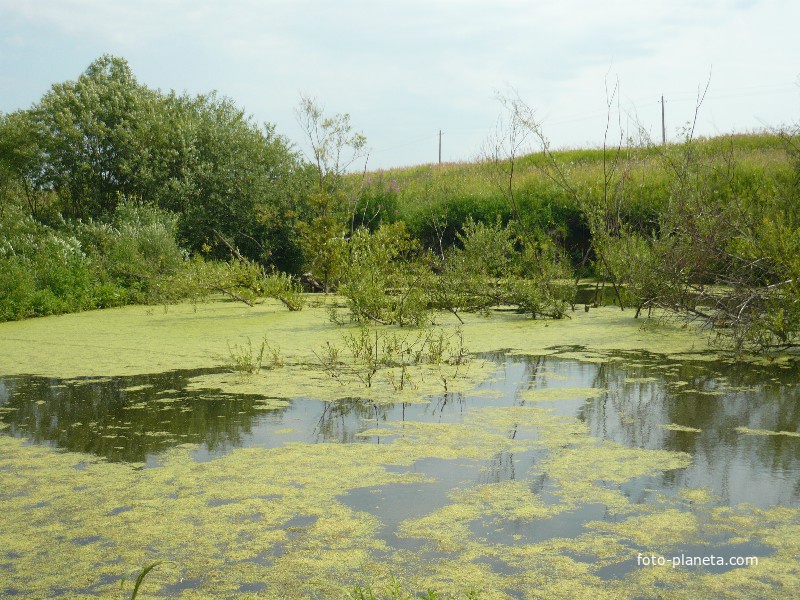 Бобровая запруда на Школьной горе