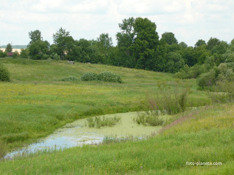 На Школьной горе 2008 г.
