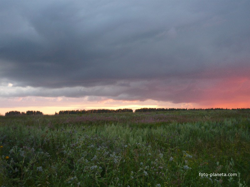 Вечером в Еленовке; июль 2008 г.