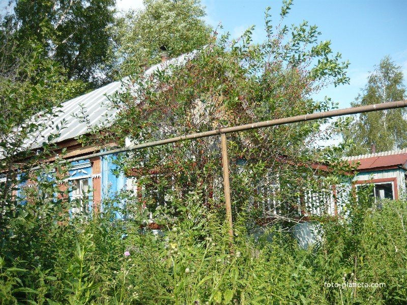 Жилой дом Букарёва Н.П.