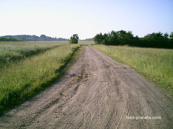 Дорога на Буданово